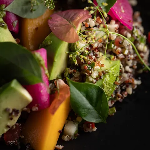 Quinoa and Garden Salad