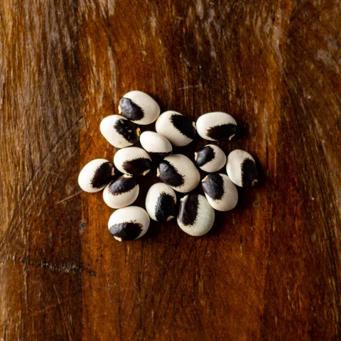Native Beans