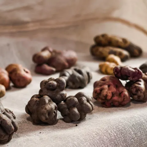 Native Potatoes