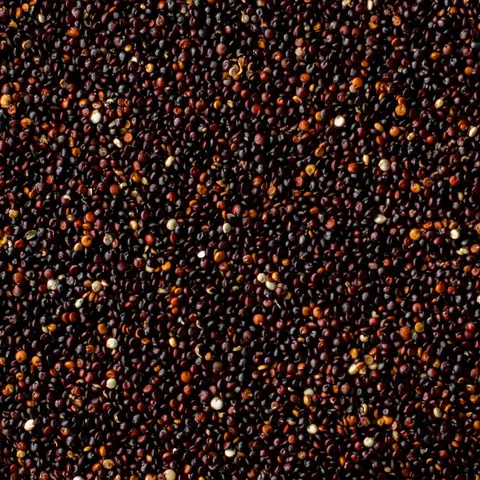 Andean Quinoa